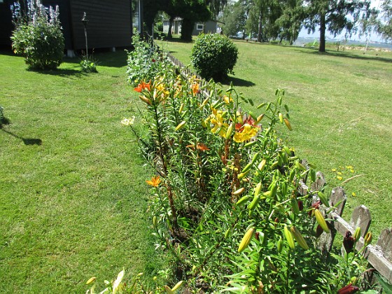 Staketet  
  
2024-07-05 Staketet_0108  
Granudden  
Färjestaden  
Öland