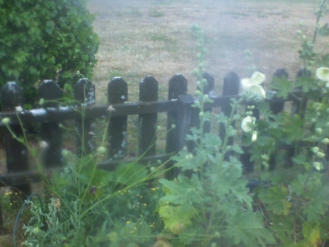 CPGP Garden Cam : Historik