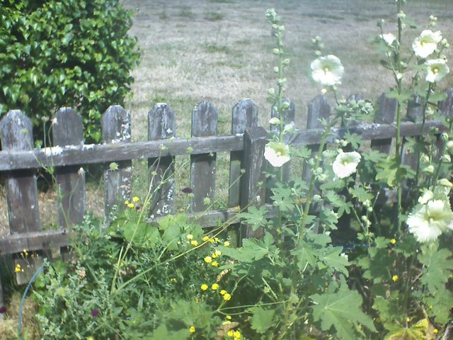 CPGP Garden Cam : Historik