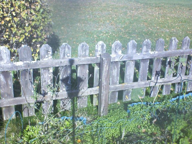 CPGP Garden Cam : Historik