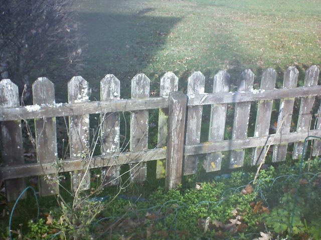 CPGP Garden Cam : Historik