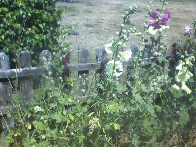 Staket, V�nster