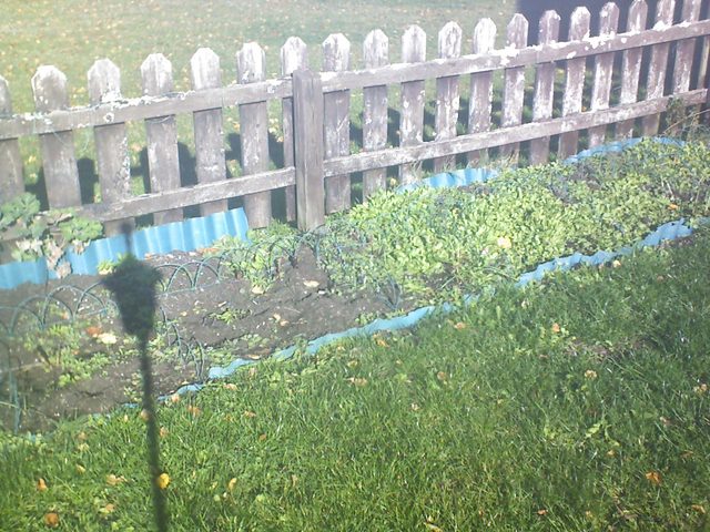 CPGP Garden Cam : Historik