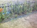 2025-07-10.jpg