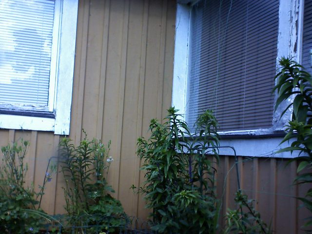 Vinkel