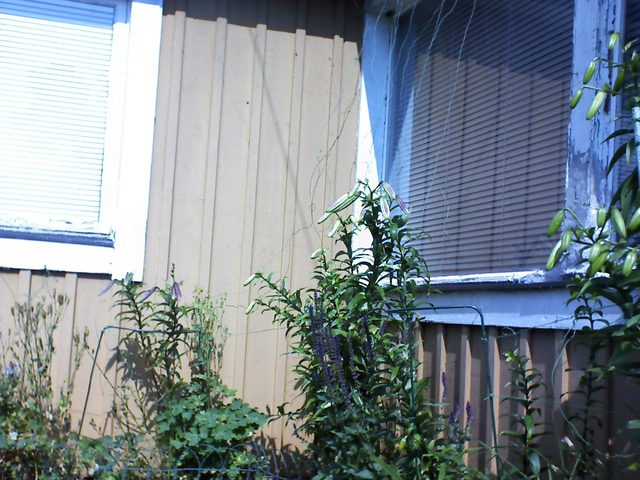 CPGP Garden Cam : Historik
