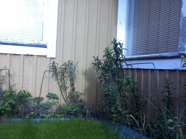 Vinkel