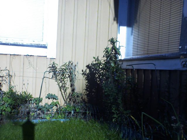 Vinkel