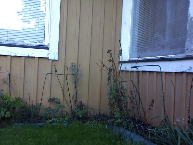 CPGP Garden Cam : Historik