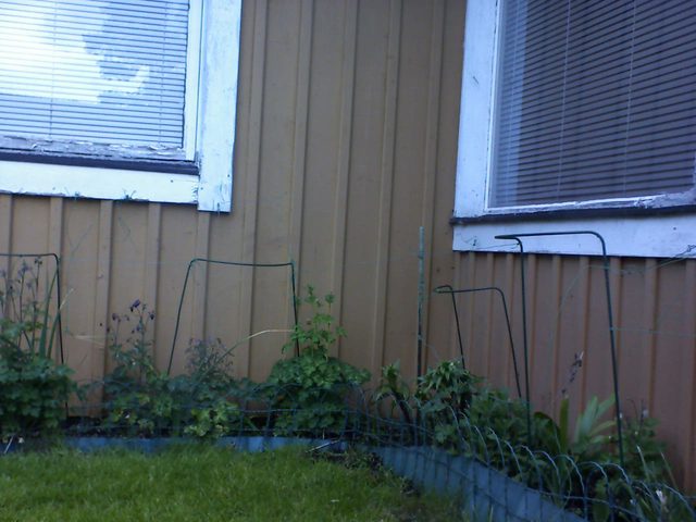 2026-05-14.jpg