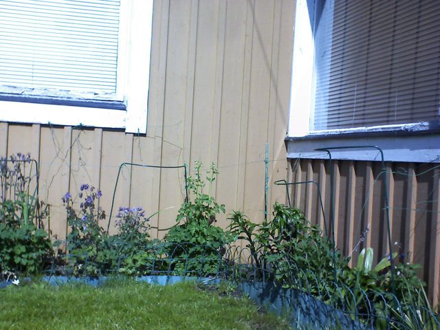 2026-05-19.jpg