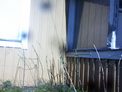 2025-04-02.jpg