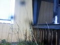 2025-04-03.jpg