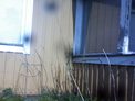 2025-04-04.jpg