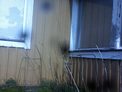 2025-04-10.jpg