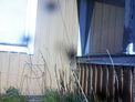 2025-04-11.jpg