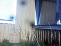 2025-04-12.jpg
