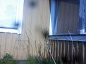 2025-04-13.jpg