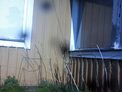 2025-04-15.jpg