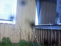 2025-04-21.jpg
