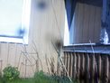 2025-04-24.jpg