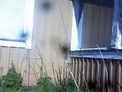 2025-05-02.jpg