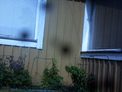 2025-05-20.jpg