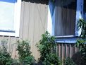 2025-06-12.jpg