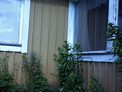 2025-06-19.jpg
