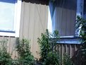2025-06-20.jpg
