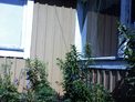 2025-06-26.jpg