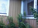 2025-06-28.jpg