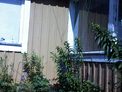 2025-06-29.jpg