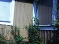 2025-07-10.jpg
