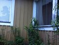 2025-07-11.jpg