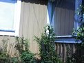 2025-07-13.jpg