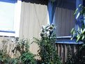 2025-07-20.jpg