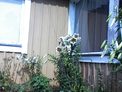 2025-07-21.jpg