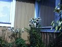 2025-07-22.jpg