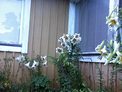 2025-07-23.jpg