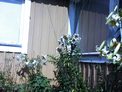 2025-07-24.jpg