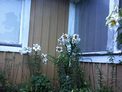 2025-07-25.jpg