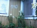 2025-07-28.jpg