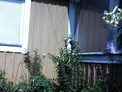 2025-07-29.jpg