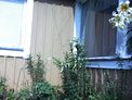 2025-07-30.jpg