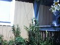 2025-07-31.jpg