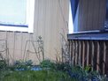 2026-04-20.jpg