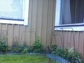 2026-05-12.jpg