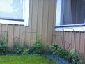 2026-05-15.jpg