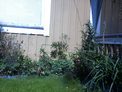 2026-08-24.jpg
